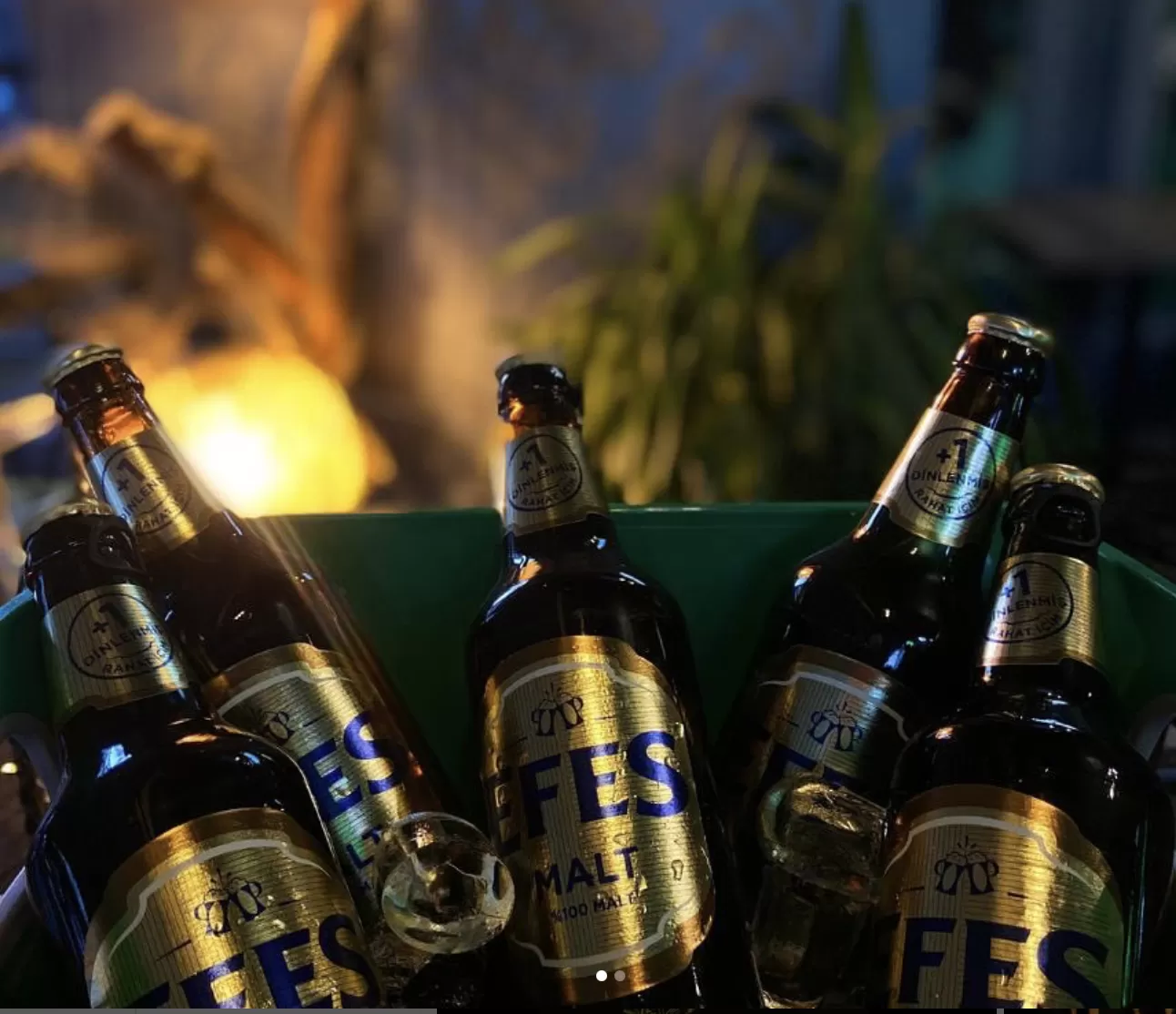 6'lı Efes Malt +1 Kova